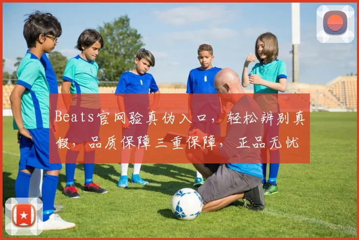 Beats官网验真伪入口，轻松辨别真假，品质保障三重保障，正品无忧，速来鉴别