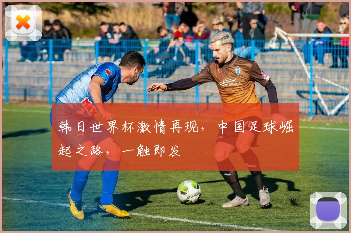 韩日世界杯激情再现，中国足球崛起之路，一触即发