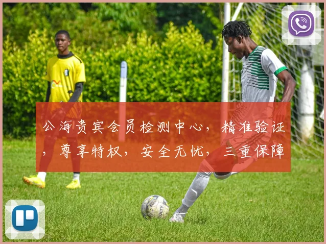 公海贵宾会员检测中心，精准验证，尊享特权，安全无忧，三重保障，必看指南