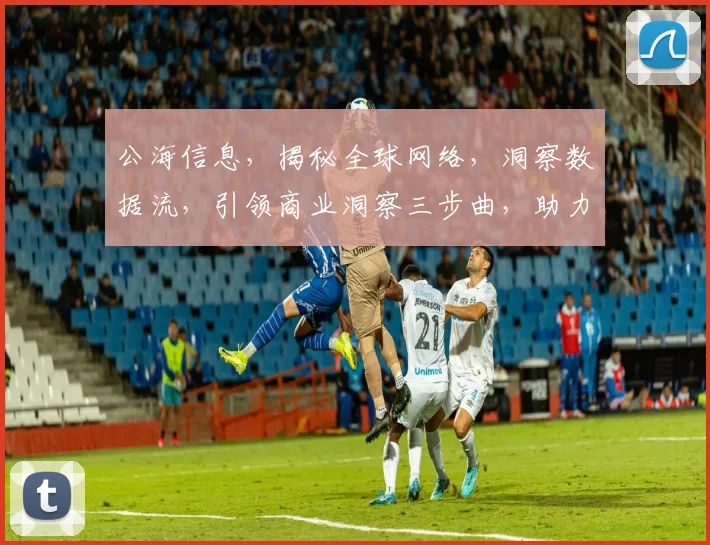公海信息，揭秘全球网络，洞察数据流，引领商业洞察三步曲，助力企业决策