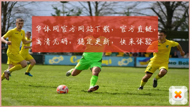 华体网官方网站下载，官方直链，高清无码，稳定更新，快来体验